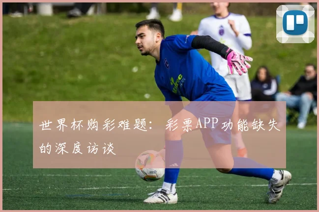 世界杯购彩难题：彩票APP功能缺失的深度访谈