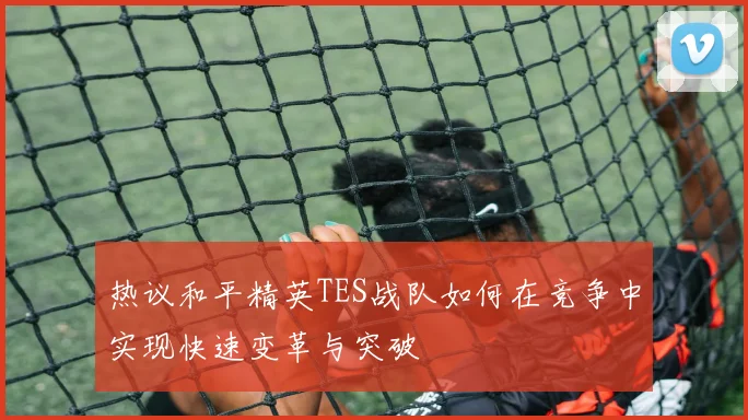 热议和平精英TES战队如何在竞争中实现快速变革与突破