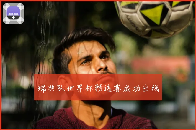 瑞典队世界杯预选赛成功出线