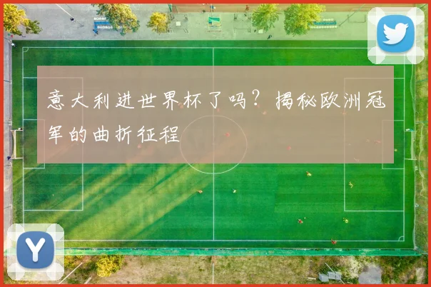 意大利进世界杯了吗？揭秘欧洲冠军的曲折征程