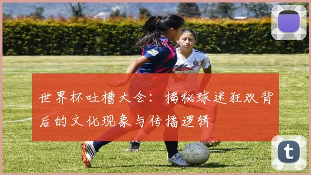 世界杯吐槽大会：揭秘球迷狂欢背后的文化现象与传播逻辑