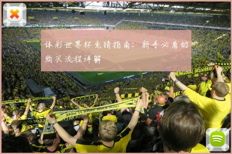 体彩世界杯竞猜指南：新手必看的购买流程详解