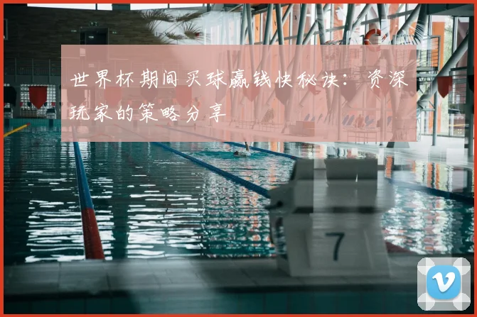 世界杯期间买球赢钱快秘诀：资深玩家的策略分享